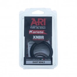 ARIETE Dust Seal Kit (116,117) 48x58.5/62.6/11