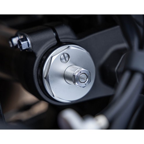 Adjustable USD forks