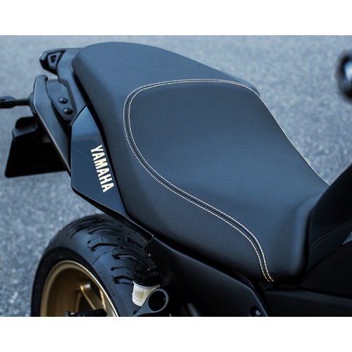 Contoured dual seat